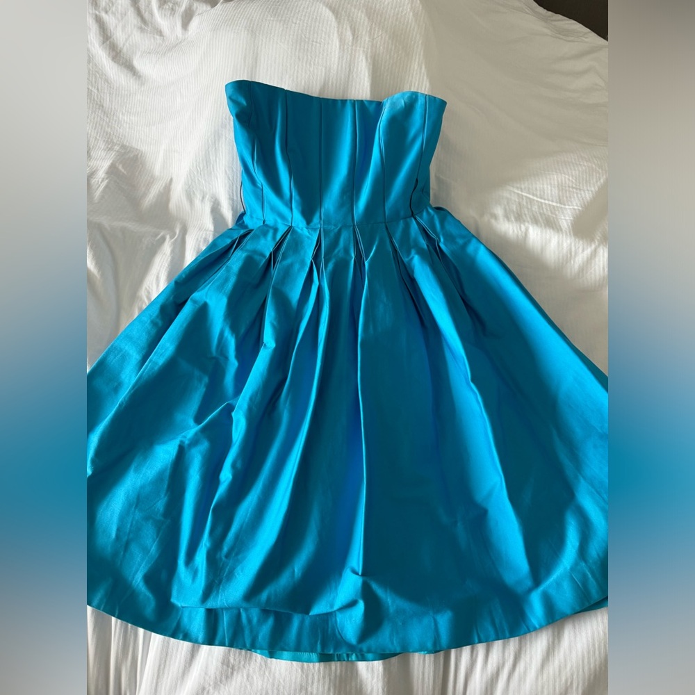 Sara Campbell beautiful blue strapless dress